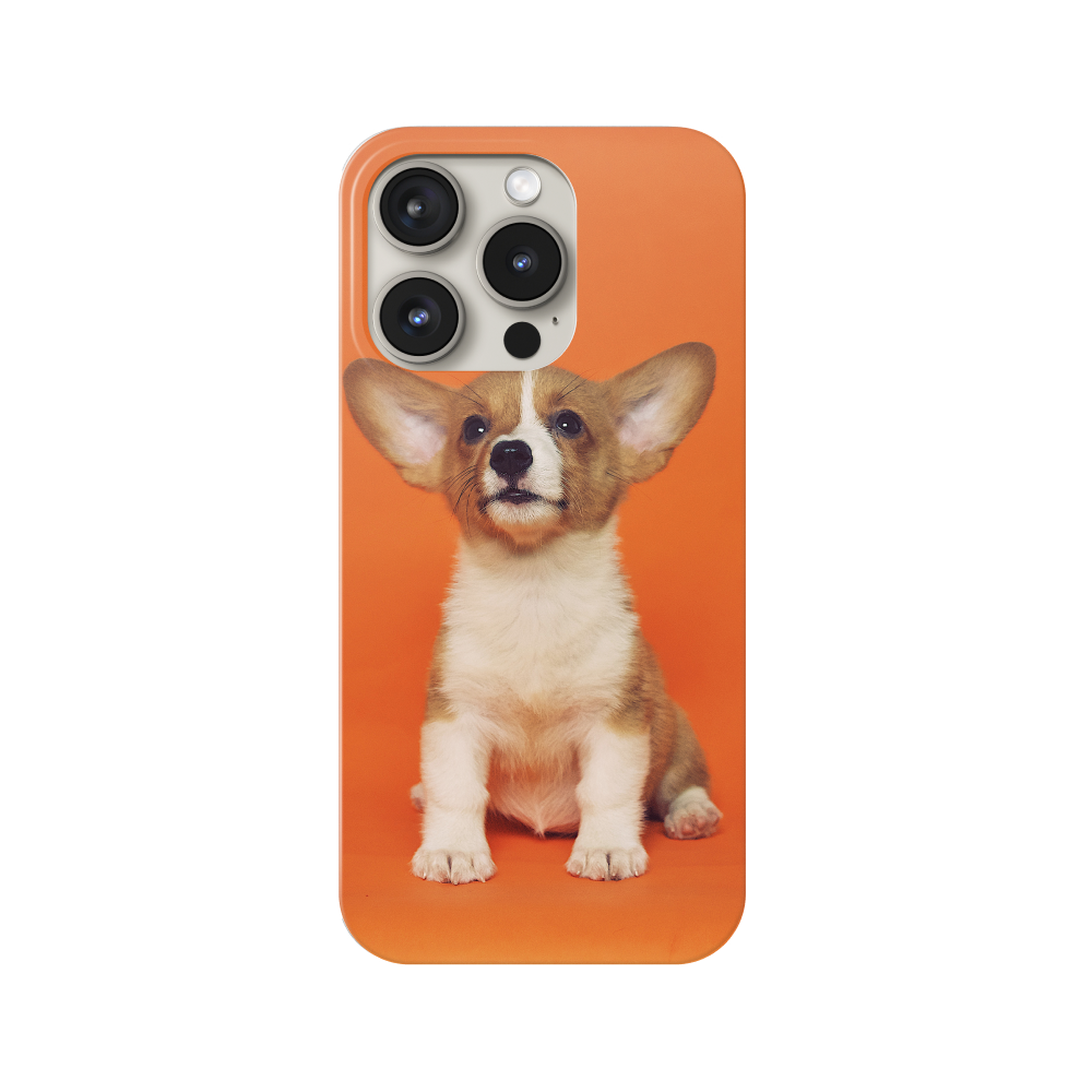 Custom Phone Case6666
